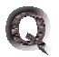 external image q.gif