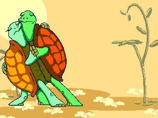 Two Turtles Dancing | Tortugas terrestres, Tortugas, Tortugas acuaticas