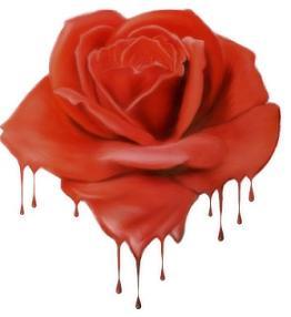 heart broken rose