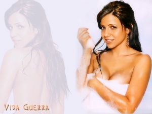 Vida Guerra