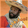 Ole Fool