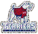St._Francis_Terriers