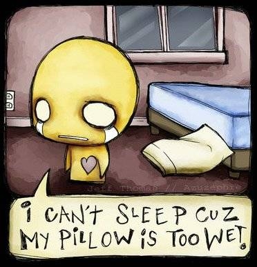 I Can't Sleep Cuz My Pillow Is Too Wet
