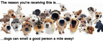 dogs can smell a good person a mile away