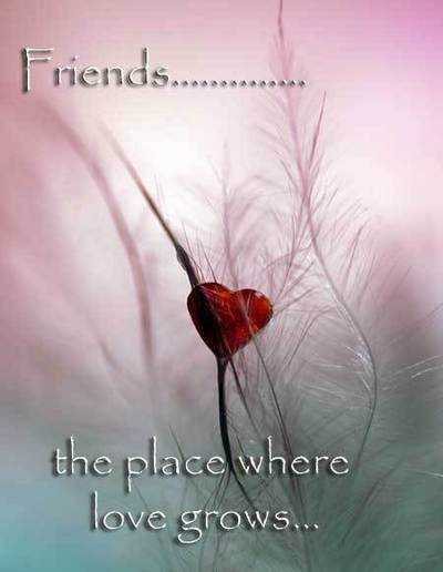 friends .. the place where love grows