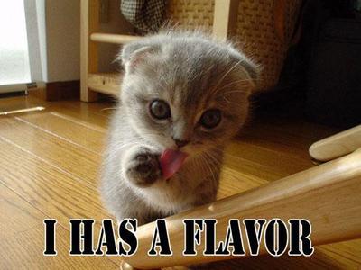 I Has A Flavor Kitty