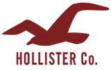 Hollister Co.