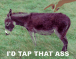 I'd Tap That Ass