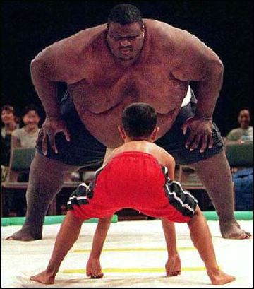Sumo wrestler
