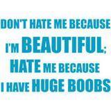 don t hate me because i m beautiful