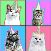 Happy Birthday Cats