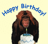 happy birthday funny monkey