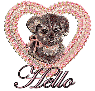 Hello 