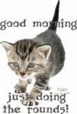 Good Morning Just Doing The Rounds!