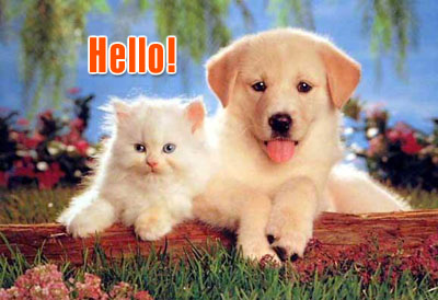 Friendly Hello