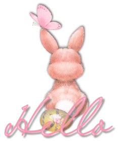 Hello Rabbit With Butterfly