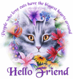 Hello Friend