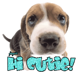 Hi Cutie!