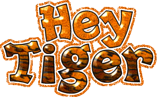 Hey Tiger