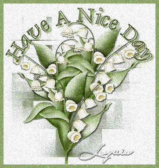 Have A Nice Day