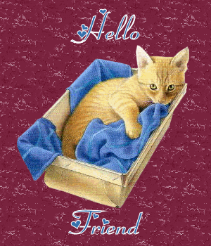 Hello Friend