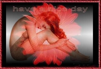 Have A Nice Day