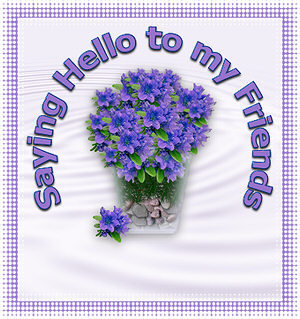 Saying Hello To My Friends