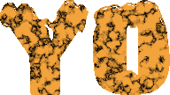 Yo