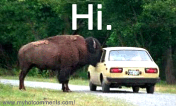 Hi