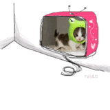 Hello Tv