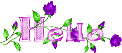 Hello Violet Rose