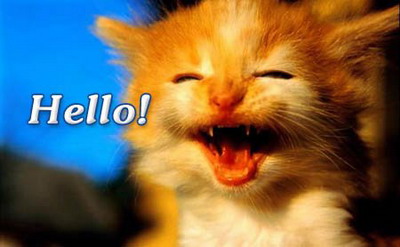 Hello!