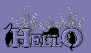 Hello Black Cats