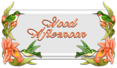Good Afternoon