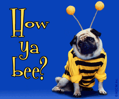 How Ya Bee