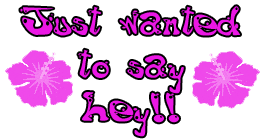 Wanted To Say Hey