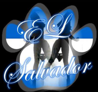 EL SALVADOR paw