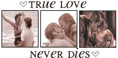 TRUE LOVE NEVER DIES