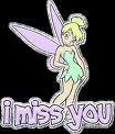 I Miss You Tinkerbell