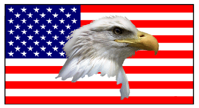 bald eagle & flag