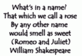 What's In A Name Shakespeare