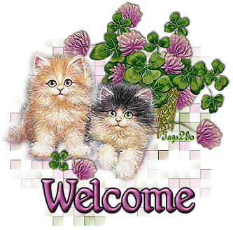 Welcome Kitties