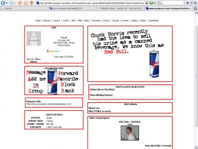 Chuck Norris and Red Bull Myspace Layout